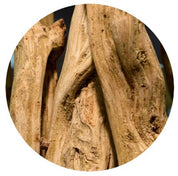 100BON - Bois de Mangrove Vegan Natural Perfume | 30ml