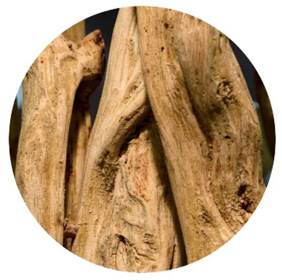 100BON - Bois de Mangrove Vegan Natural Perfume | 30ml