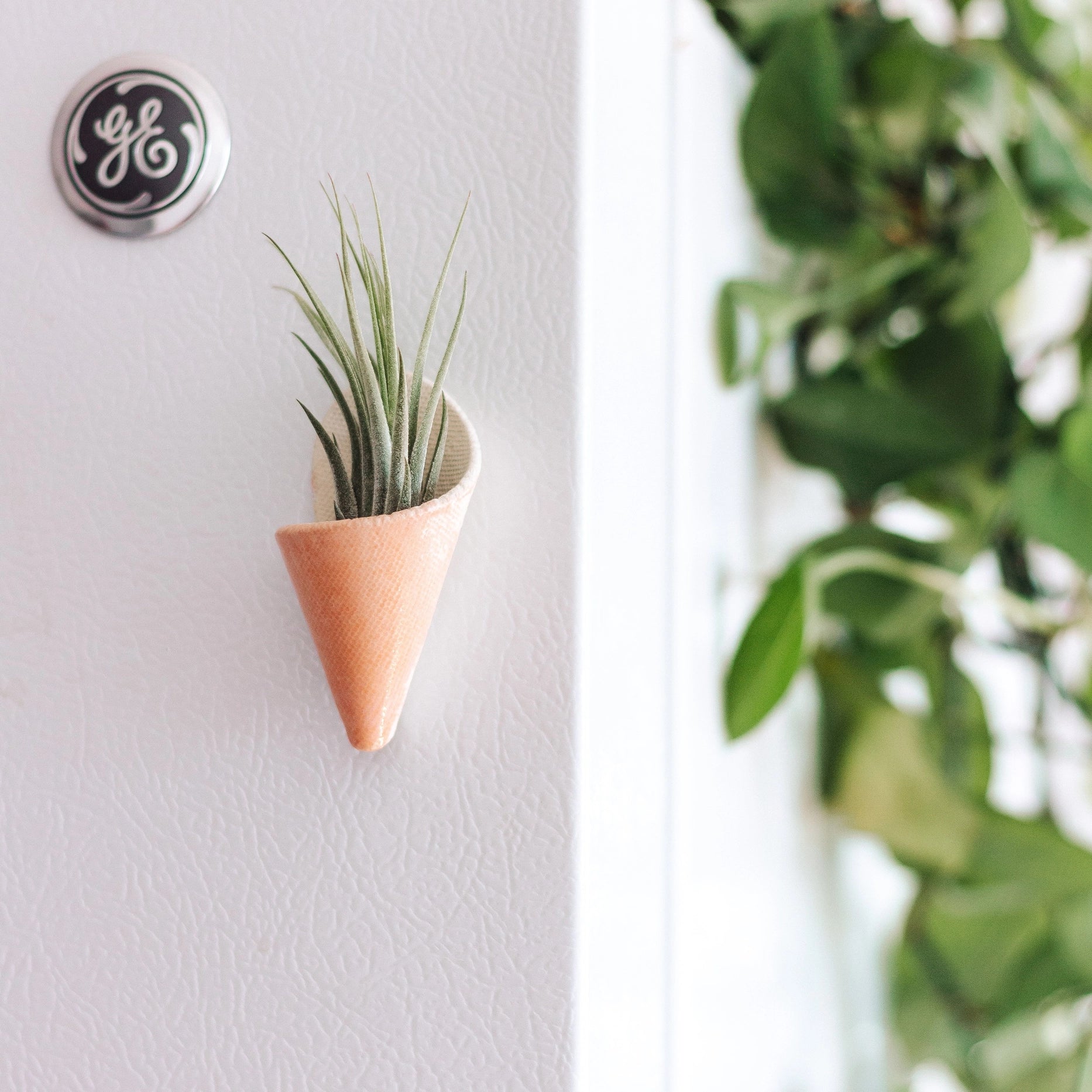 Carter & Rose - Tiny Ceramic Magnet Planter With Plant | Blush