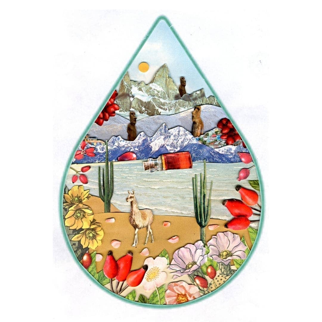 WOO World of Oils - WOO™ Rosehip Oil