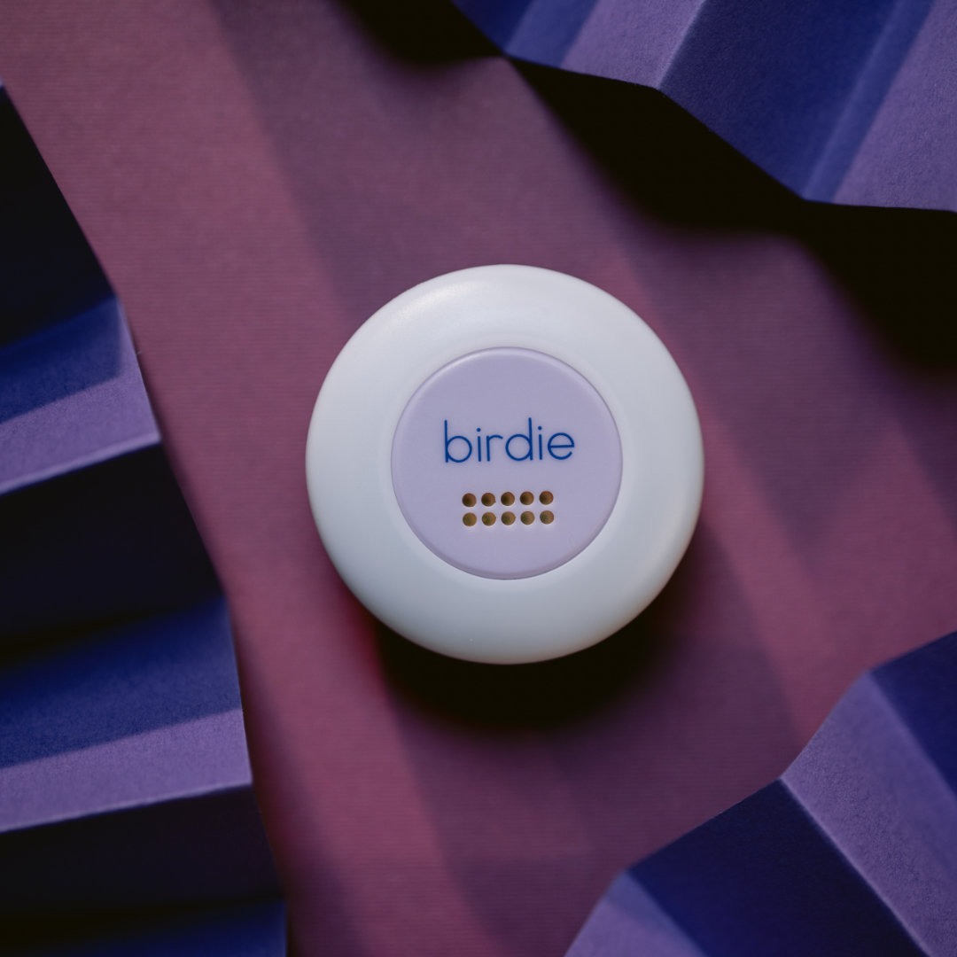 She's Birdie - Birdie Disc | Lavender