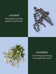 Kate McLeod -  Sleep Stone | Deep Moisturizing Lotion Bar