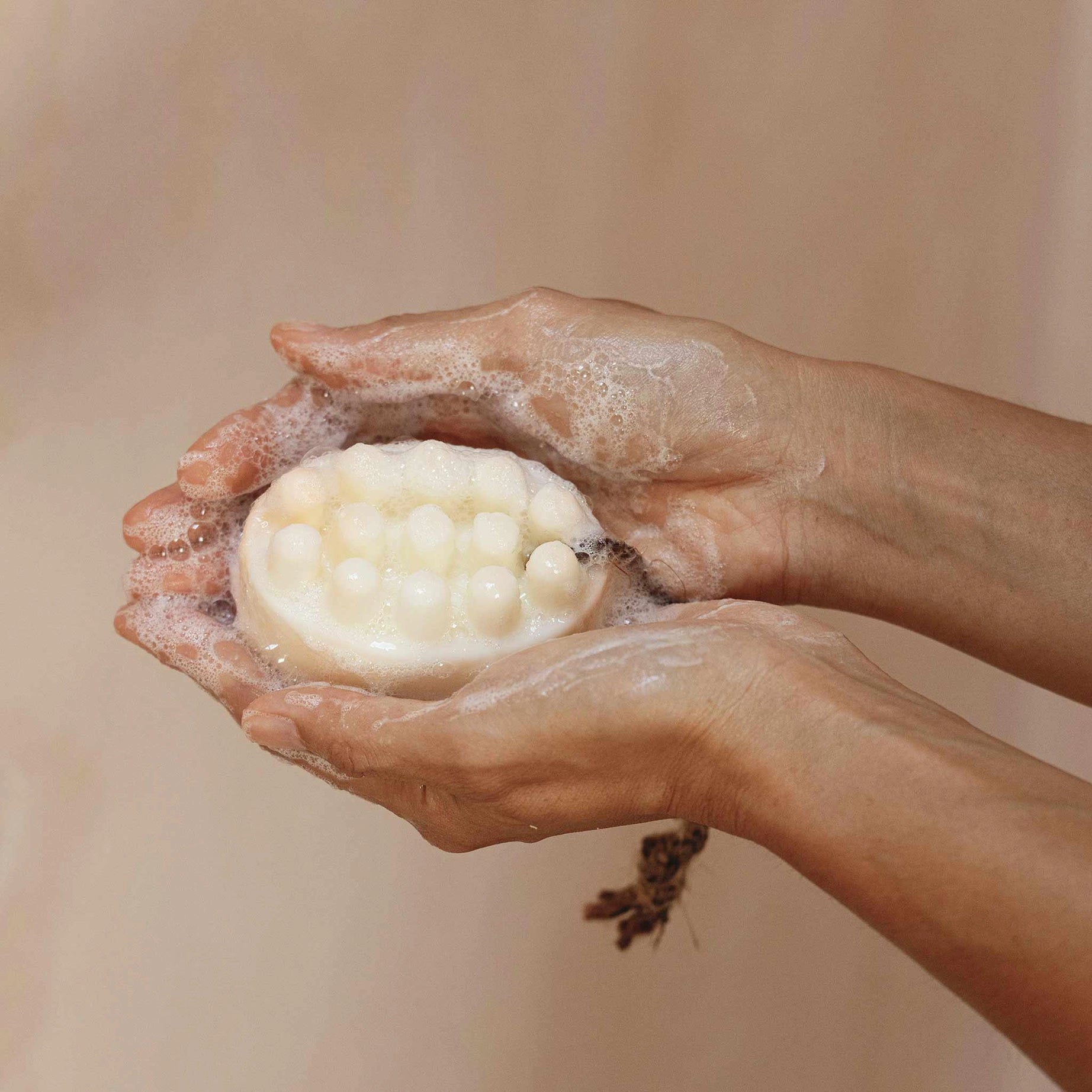 Cedar and Myrrh - Hinoki + Shea Butter Bar Soap
