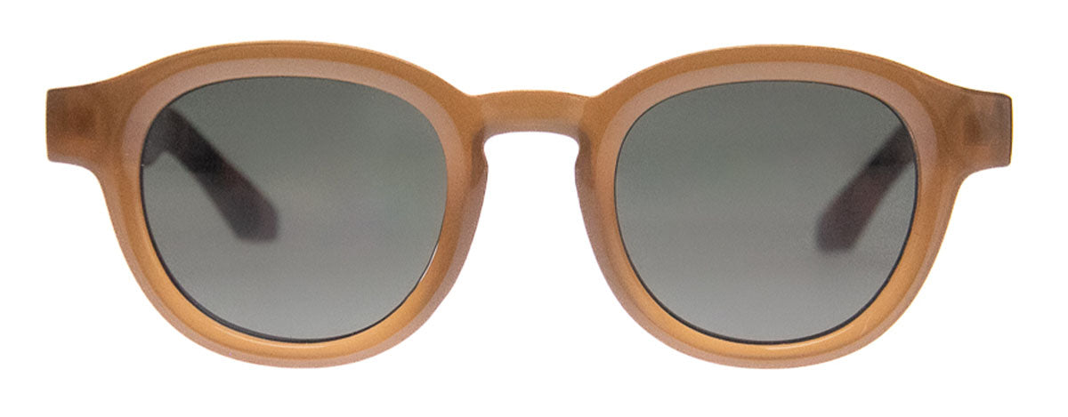 AJ Morgan - Hello Sunnies | Brown/Tort