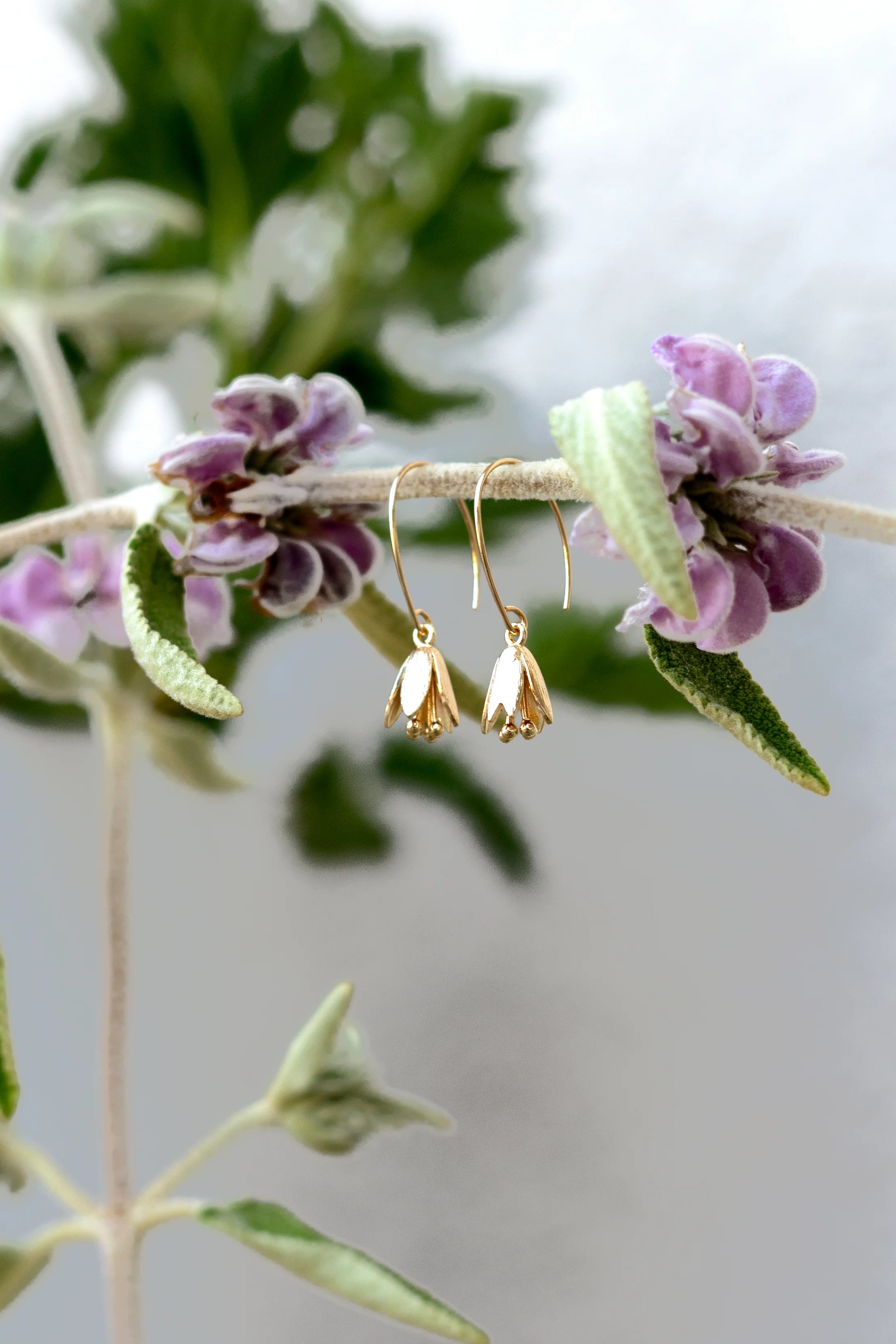 Peter + June - Courtenay Tulip Earrings