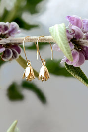 Peter + June - Courtenay Tulip Earrings