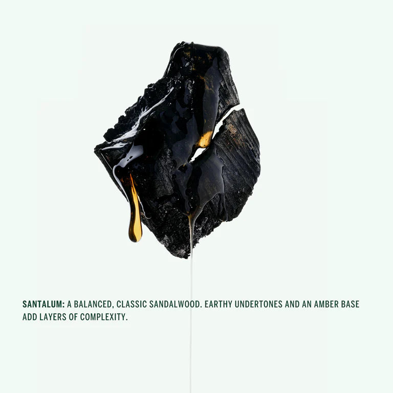 CORPUS Naturals - Deodorant Stick | Santalum