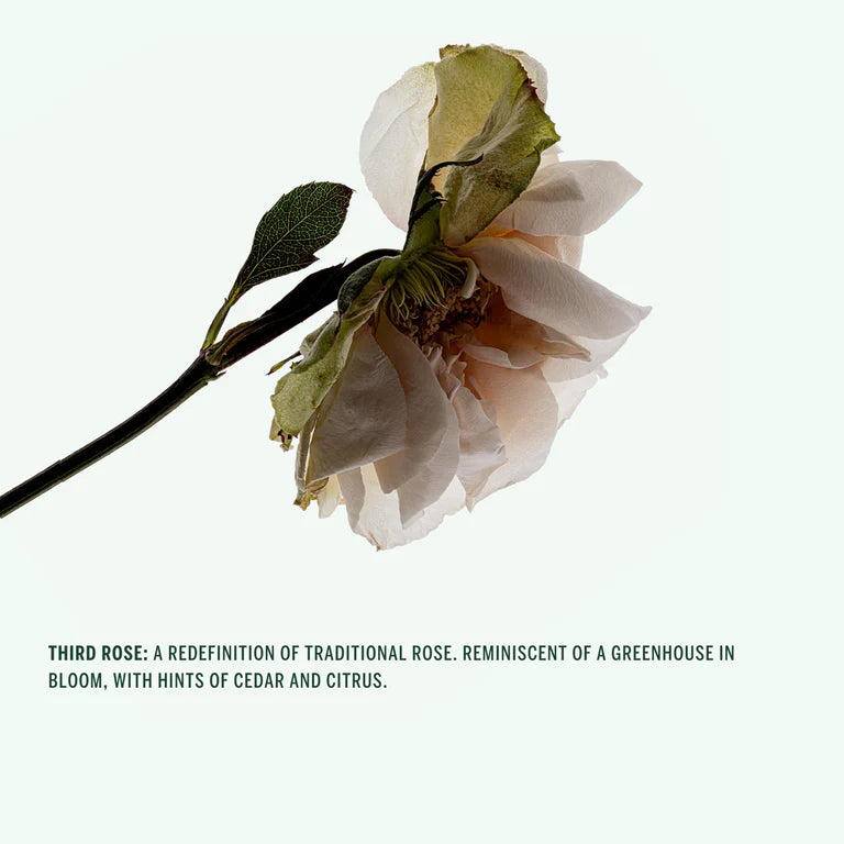 CORPUS Naturals - Deodorant Stick | Third Rose