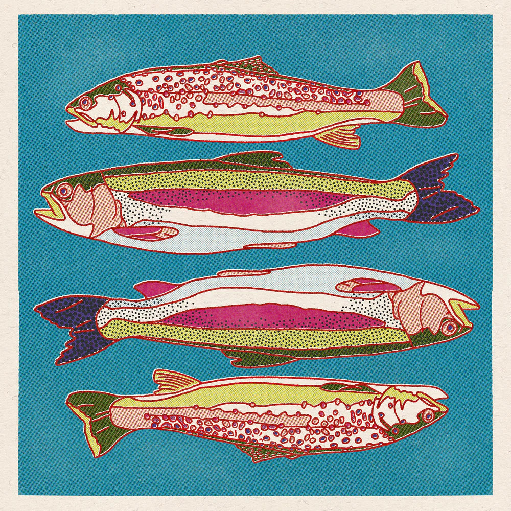 Caroline Clark - Rainbow and Brown Trout