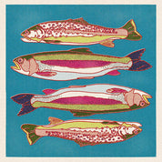 Caroline Clark - Rainbow and Brown Trout