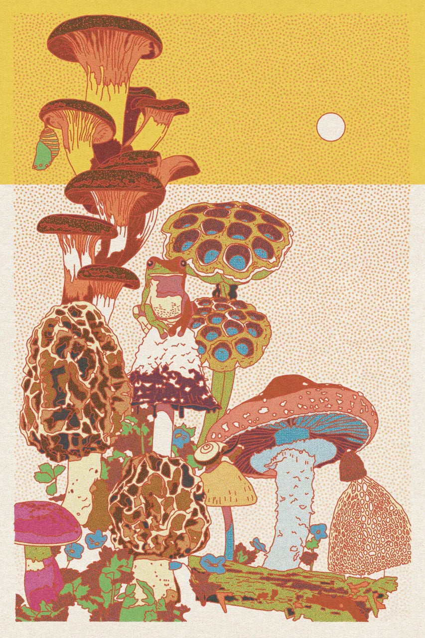 Caroline Clark - Mushroom Planet #1 Print | 24"x36"