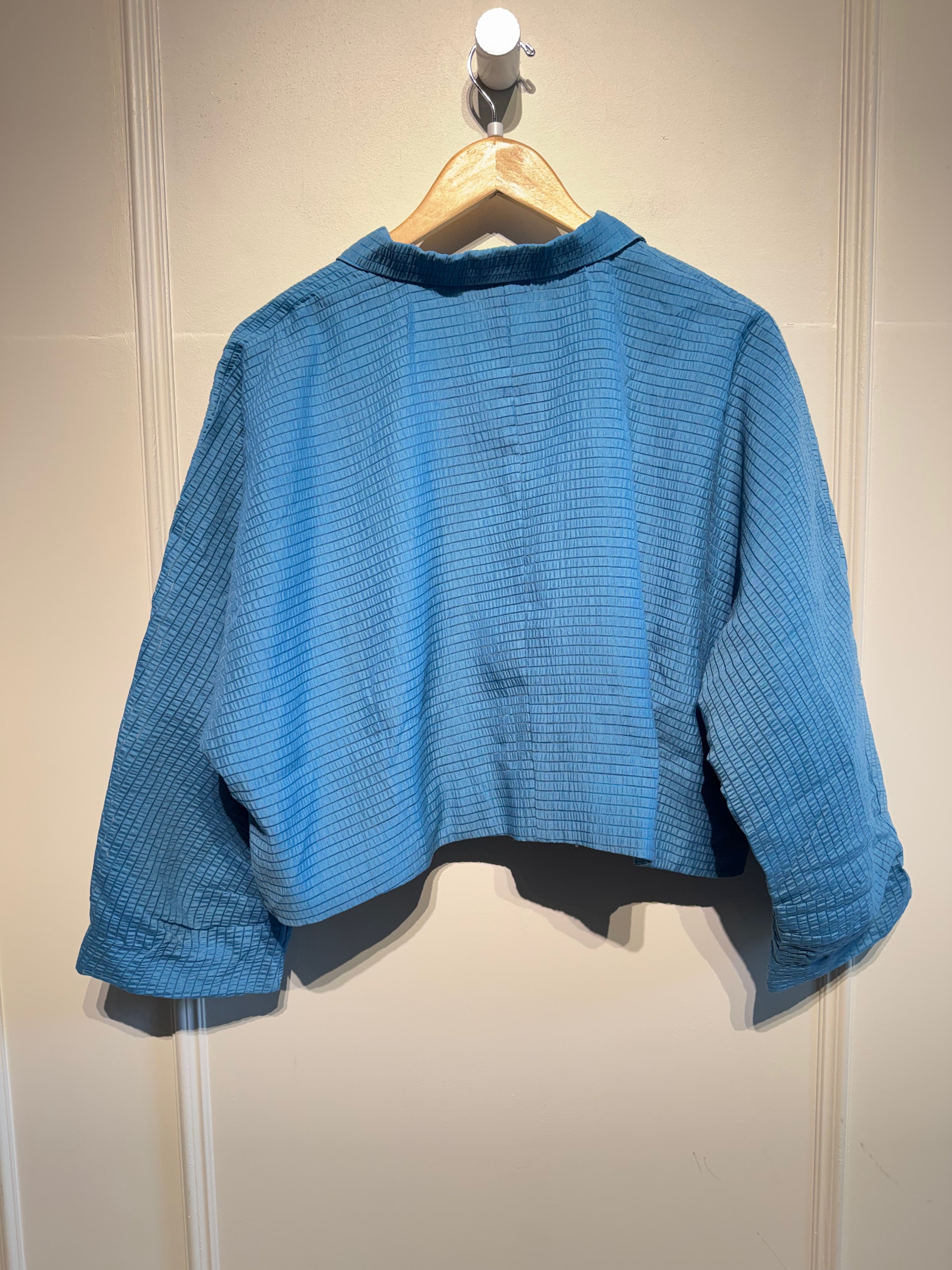 Frances Valentine Peggy Top (1X)