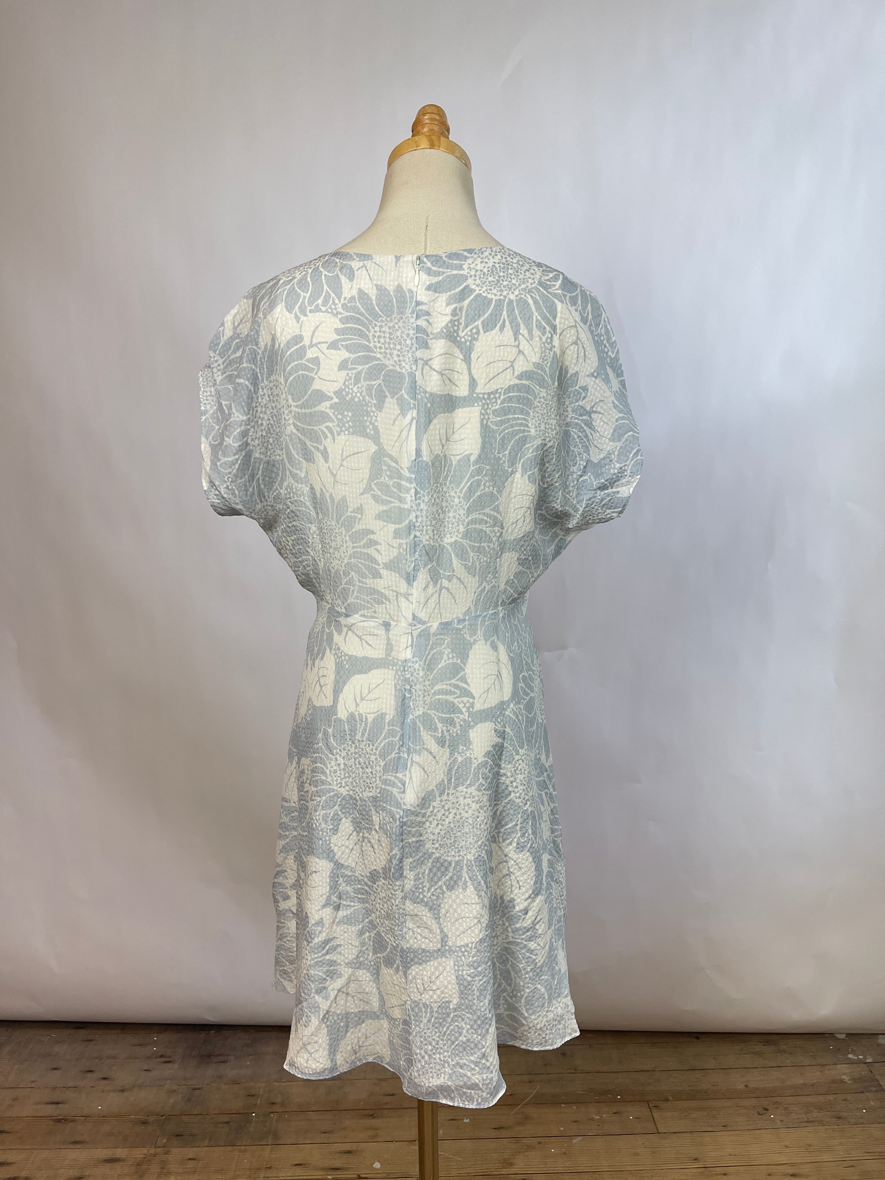 Madewell Blue Silk Dress (8/M)