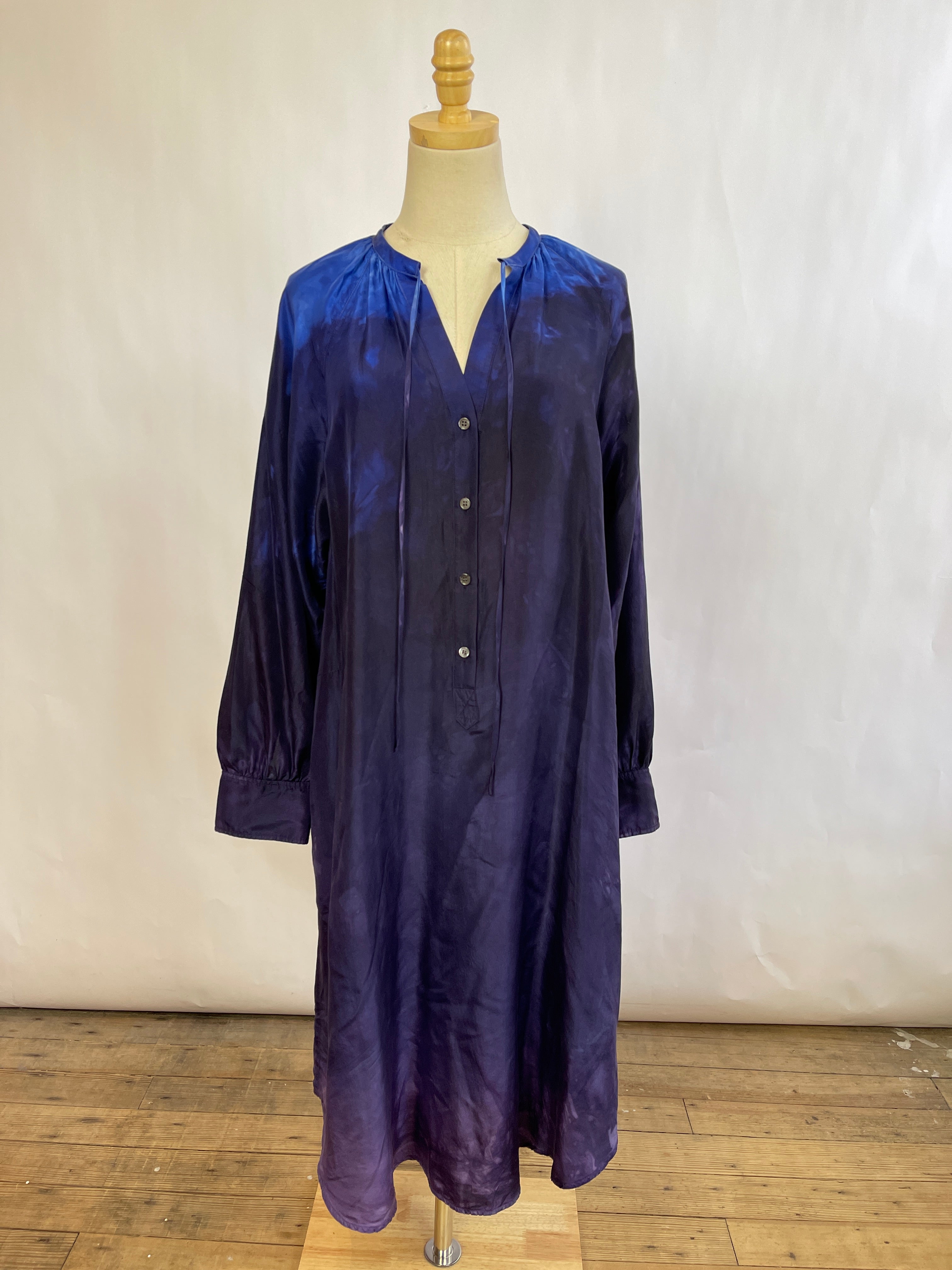 Raquel Allegra Silk Dress (1/M)