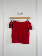 Urban Outfitters Velvet Top (L)