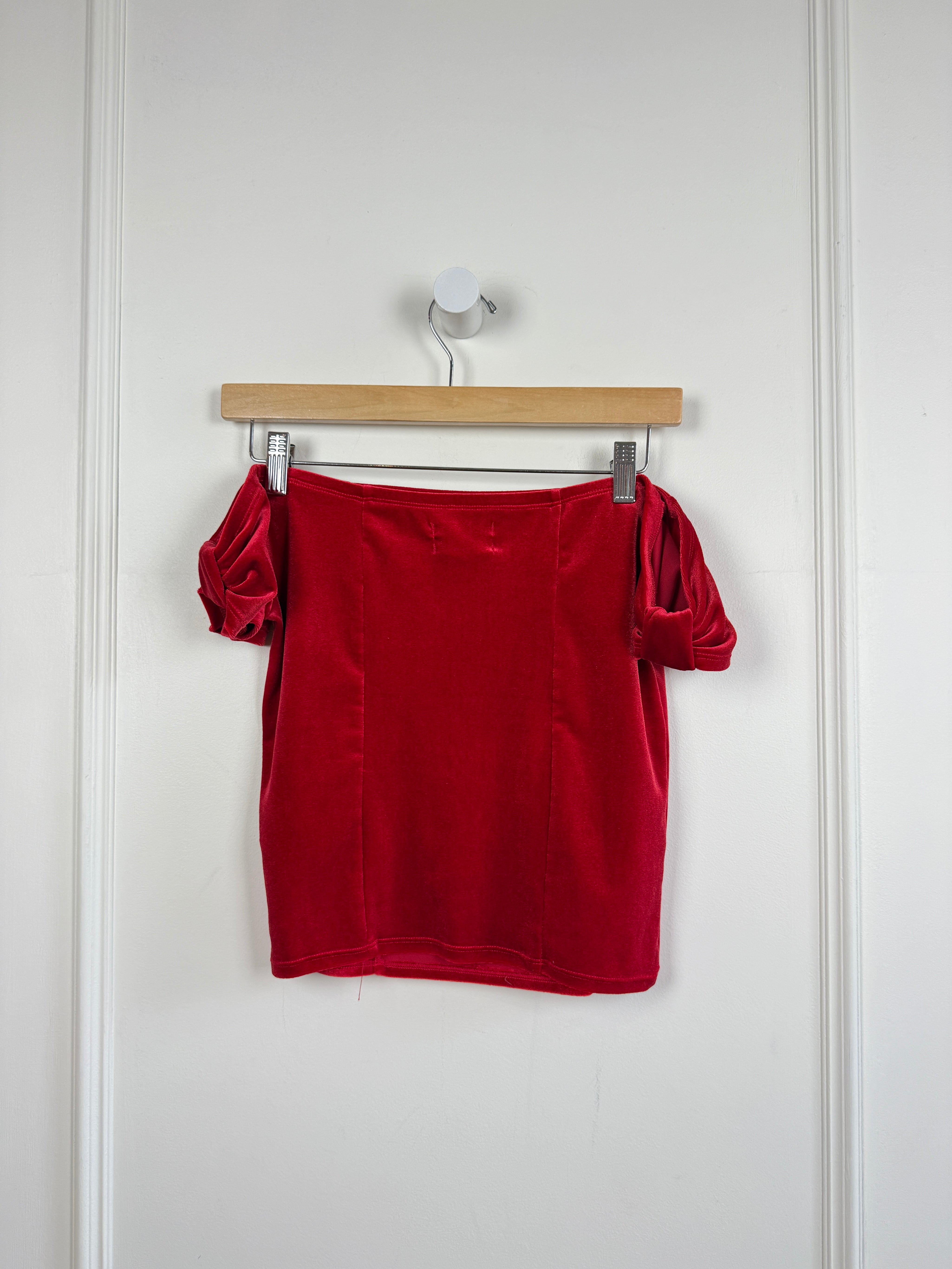 Urban Outfitters Velvet Top (L)