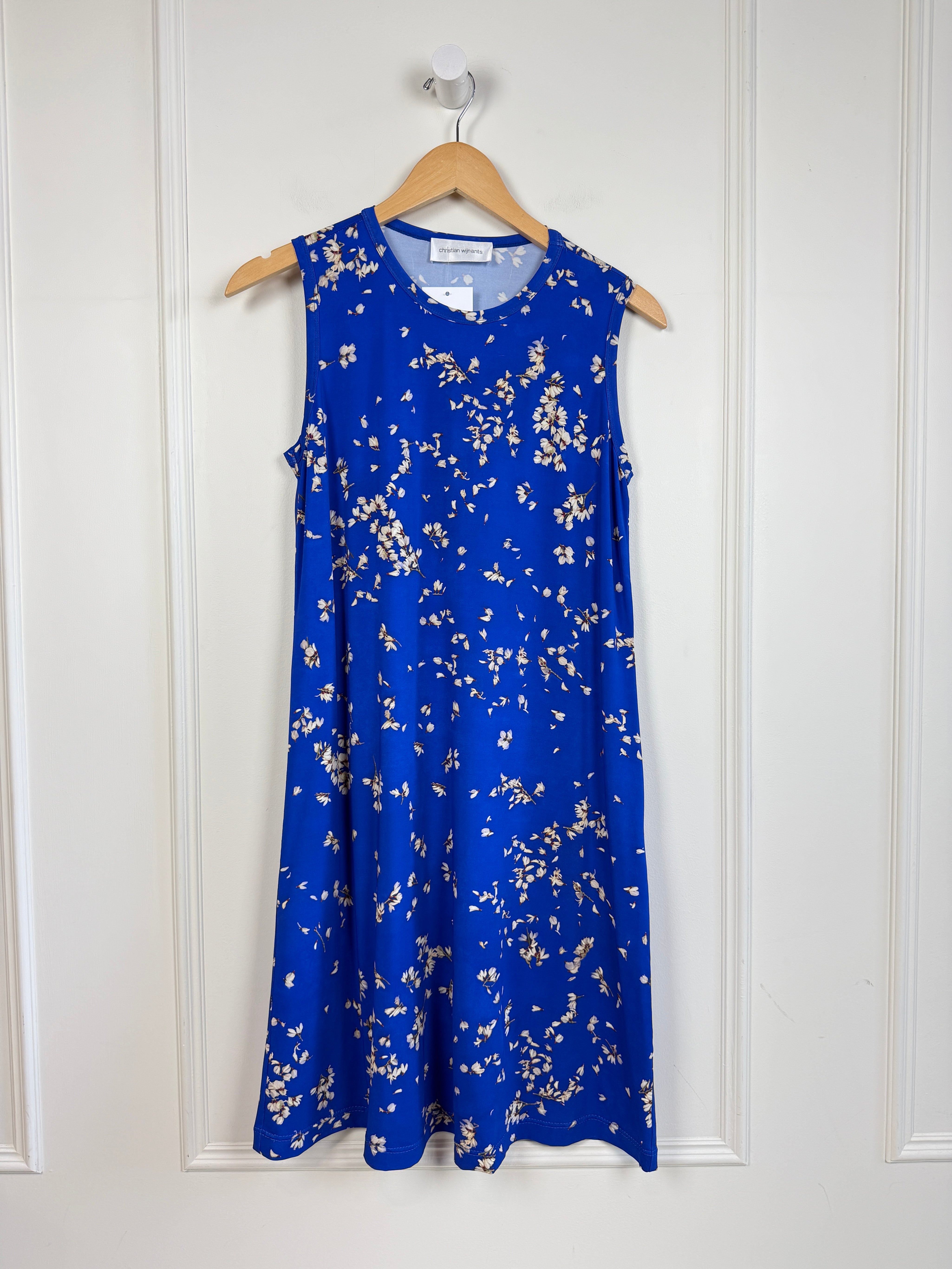 Christian Wijants Blue Dress (S)