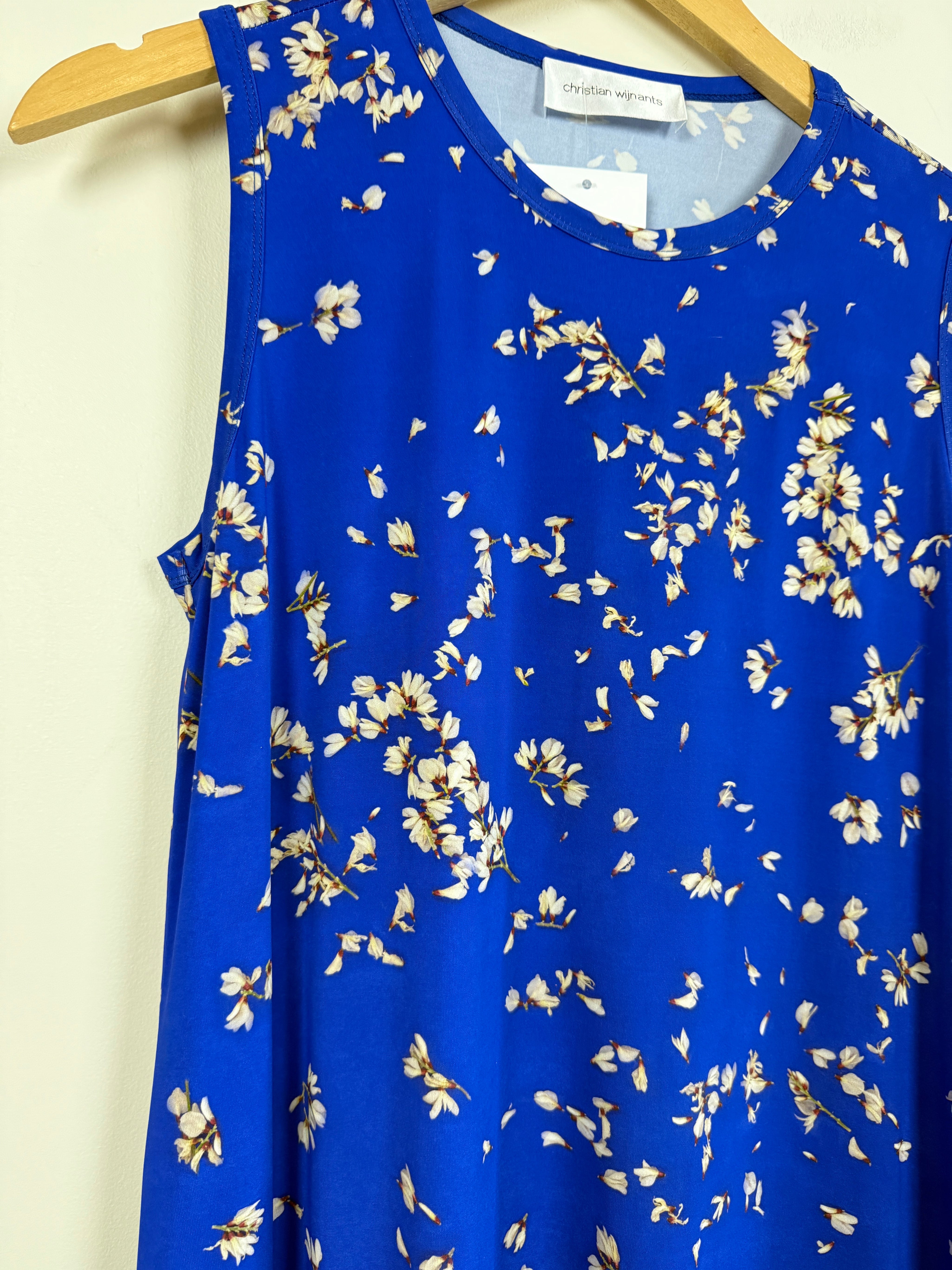 Christian Wijants Blue Dress (S)