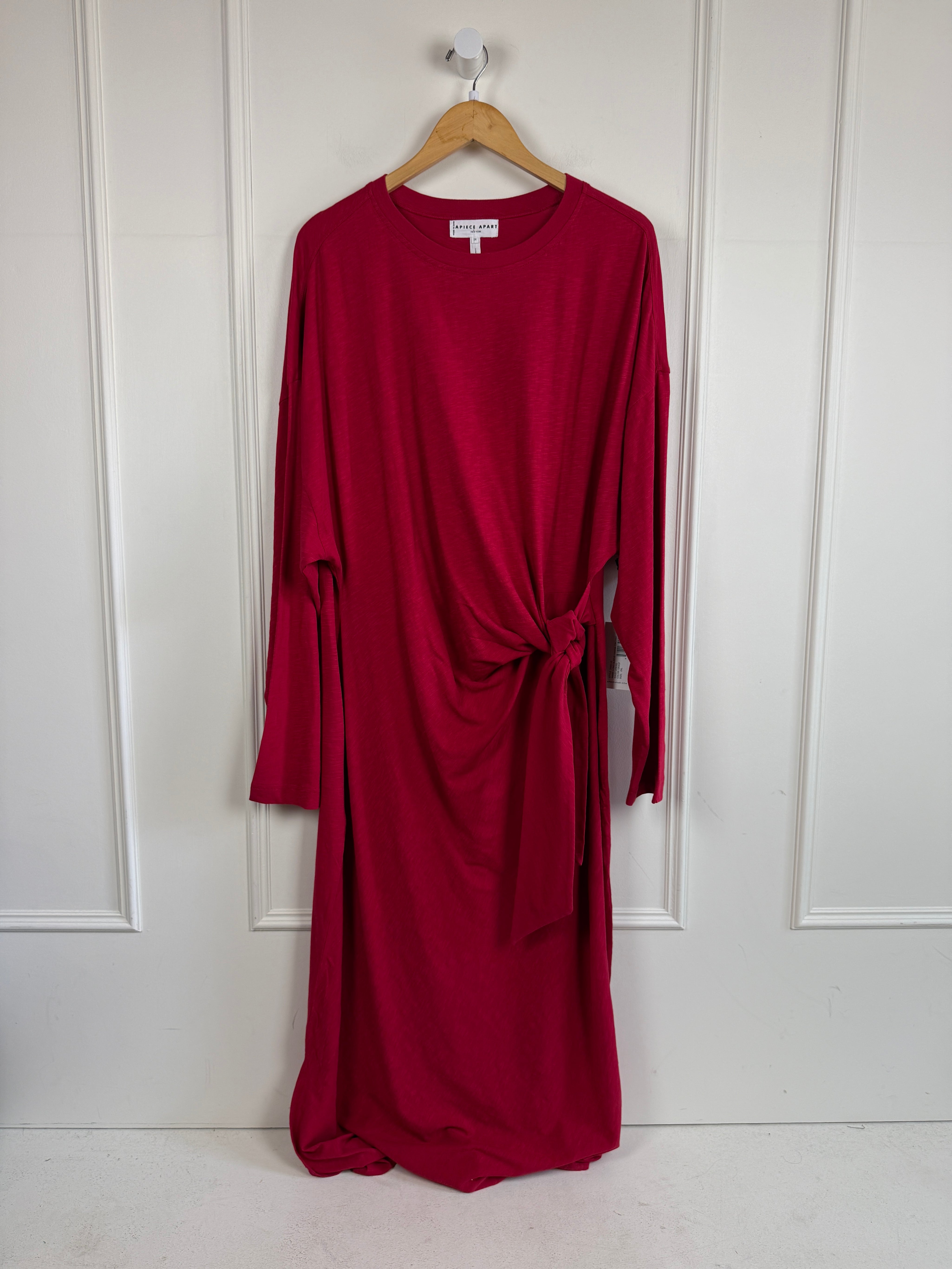 Apiece Apart Vanina Long Sleeve Dress (2X)