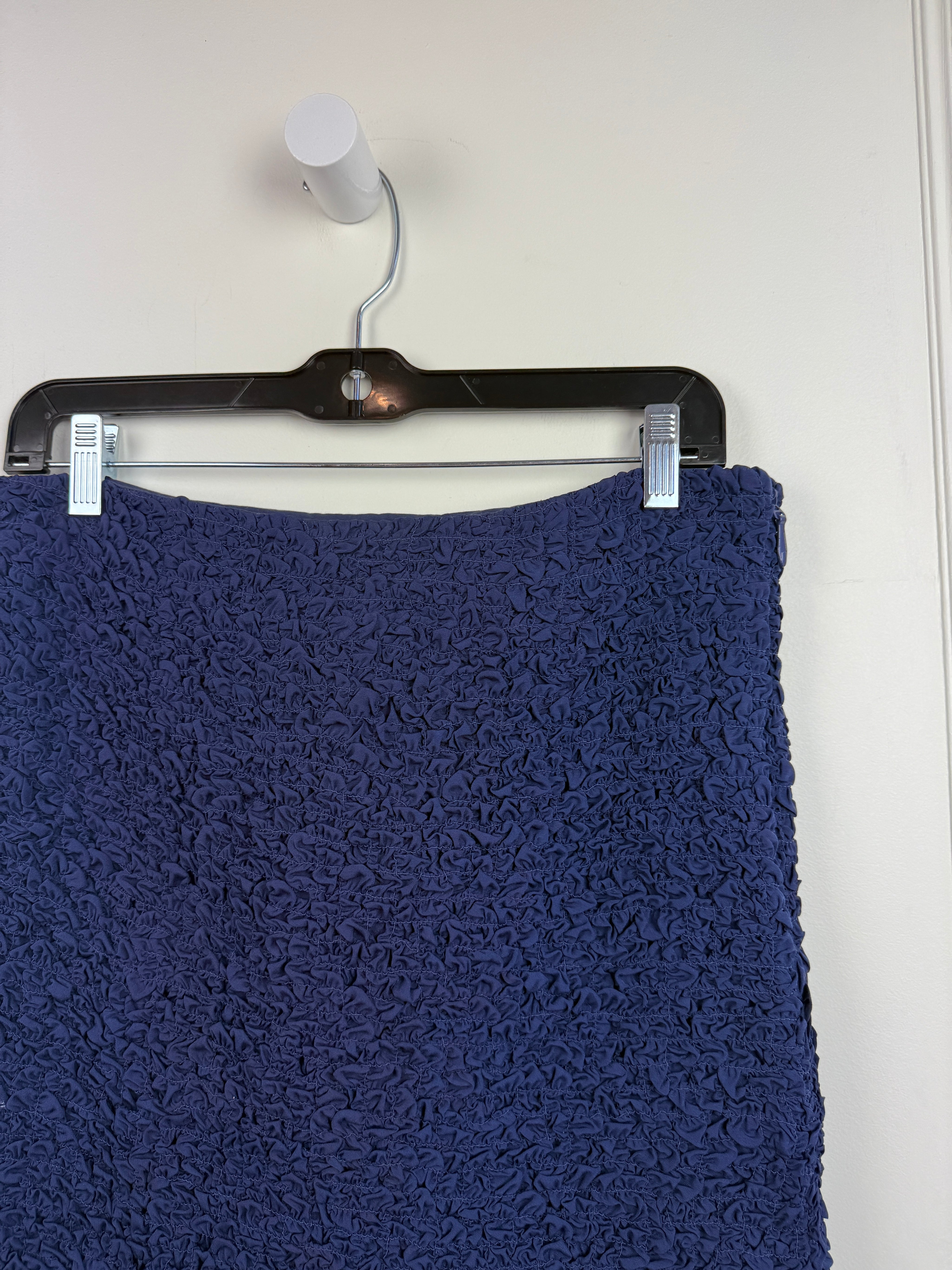 Frances Valentine Crinkle Skirt (6/M)