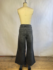 Frame Wide Leg Denim (8/29)