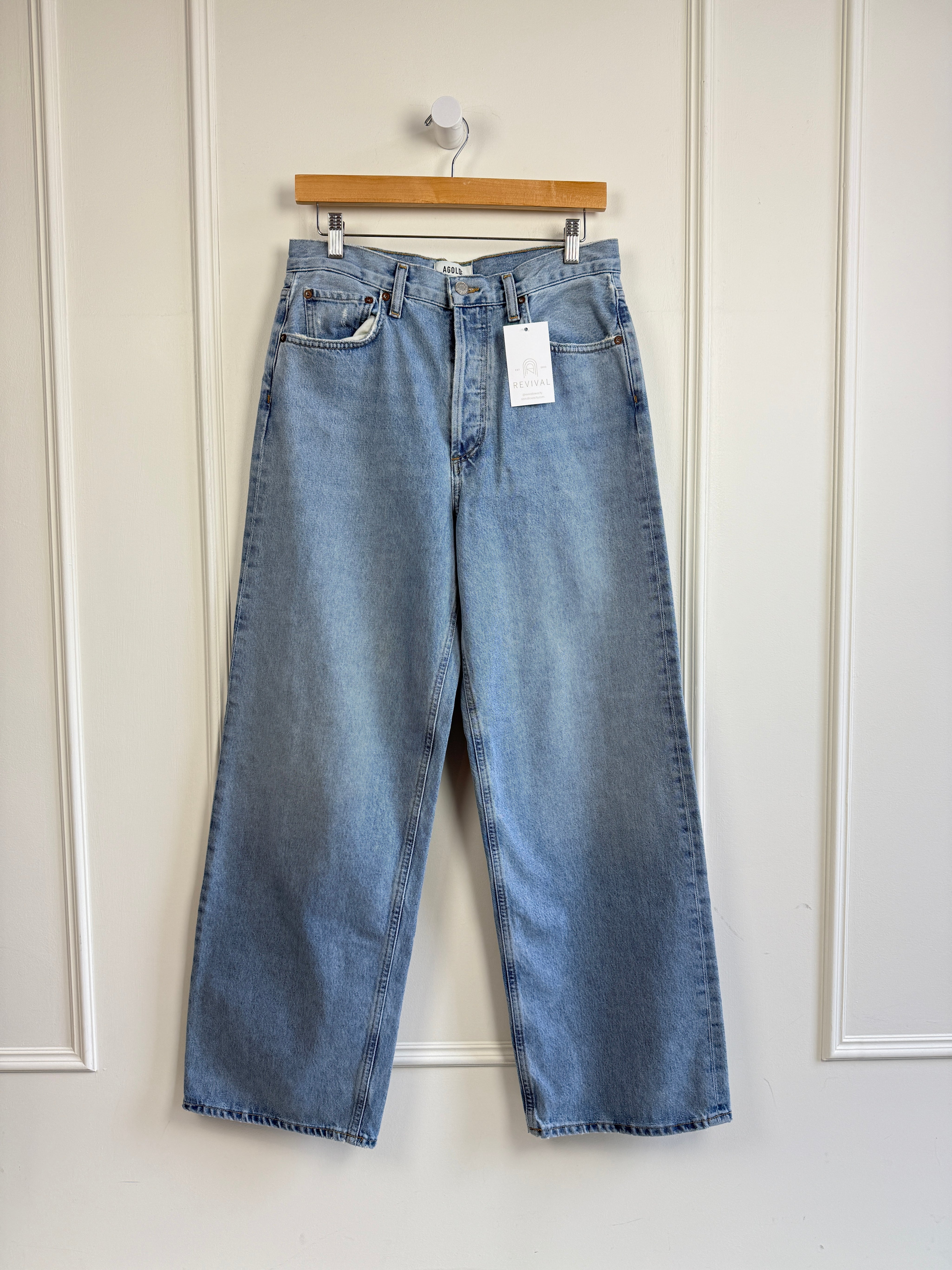 AGOLDE Low Rise Baggy (2/26)