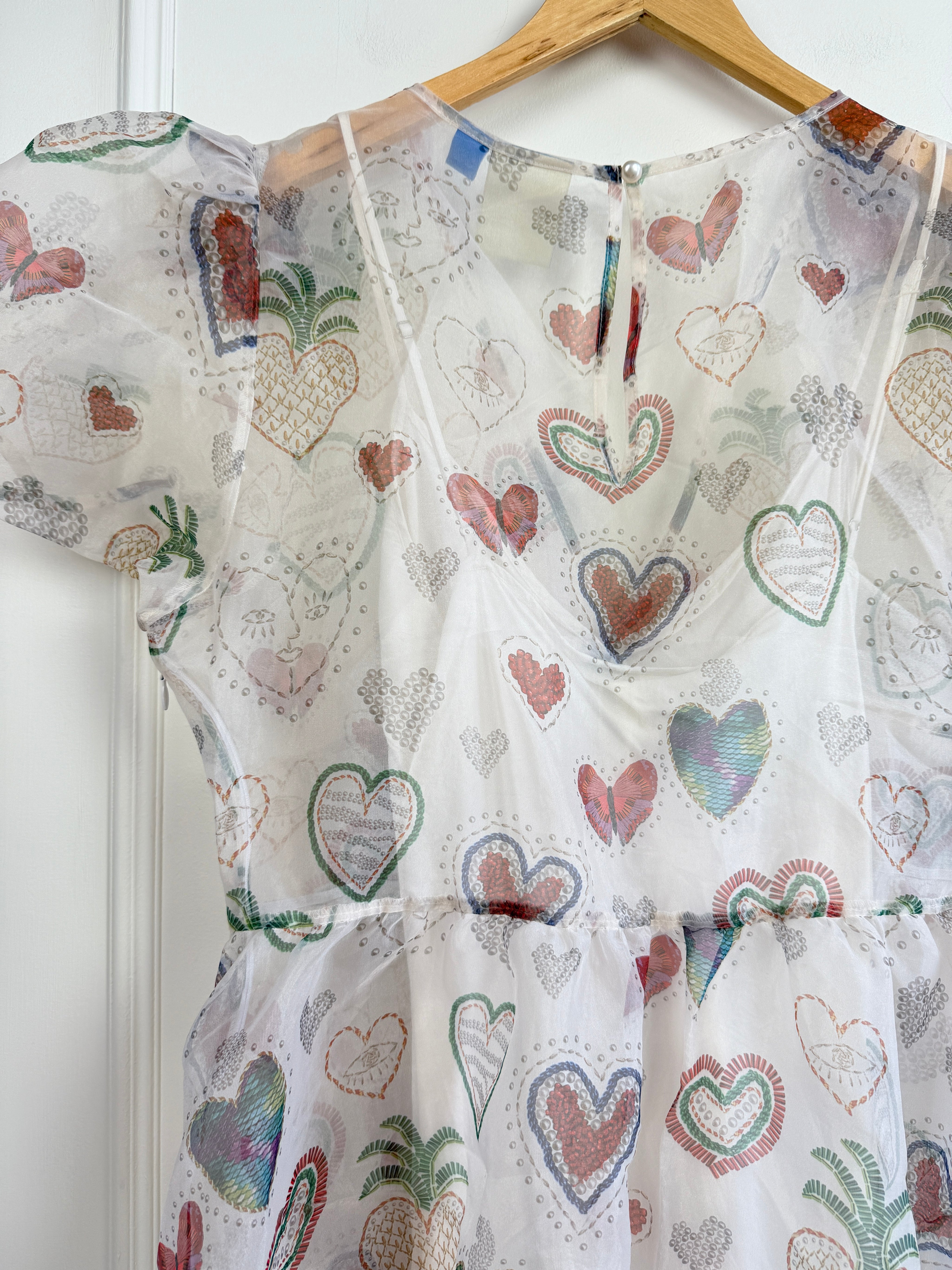 Farm Rio Sheer Mini Dress (XL)