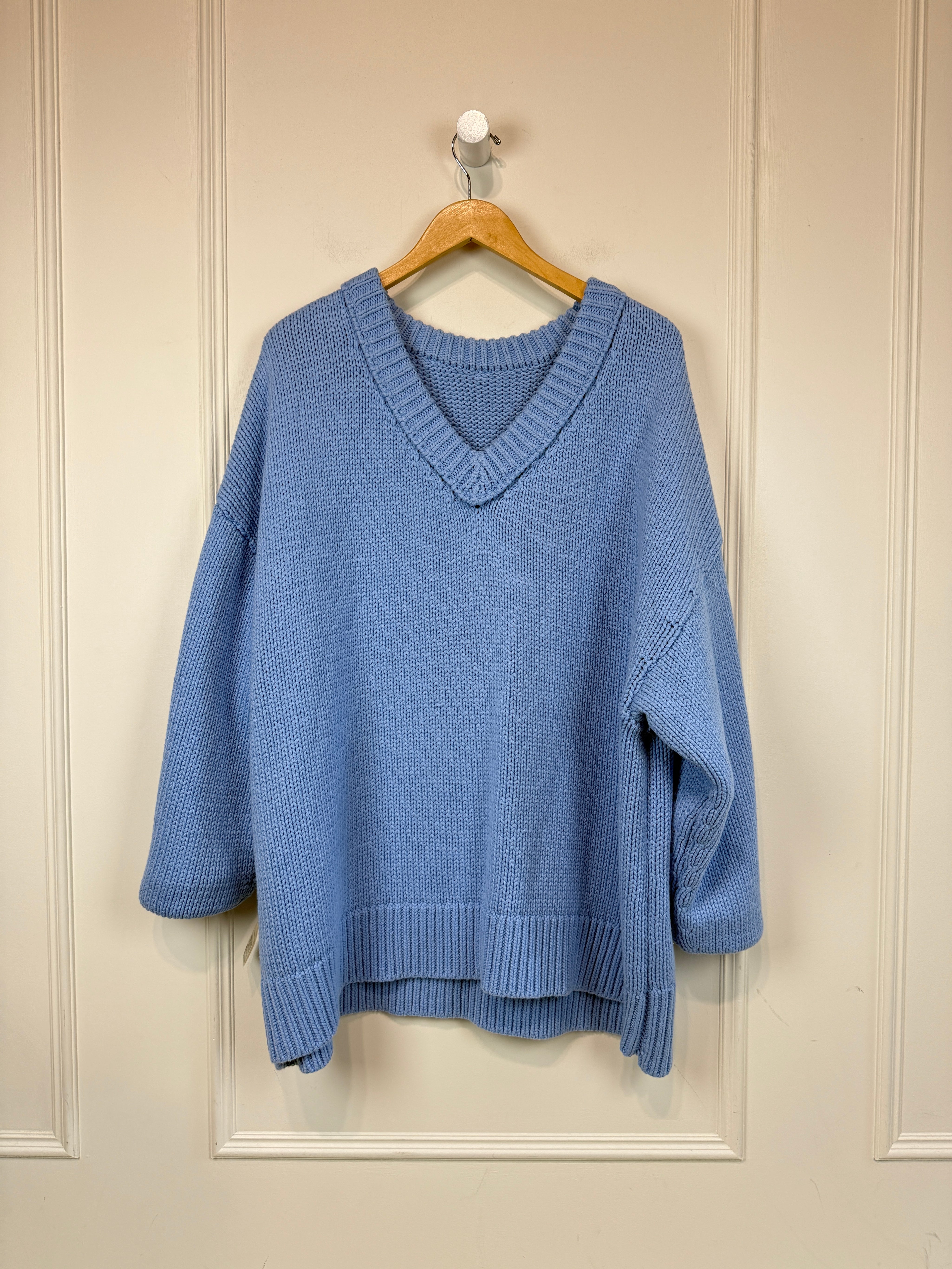 Free People Baby Blue Sweater (M)