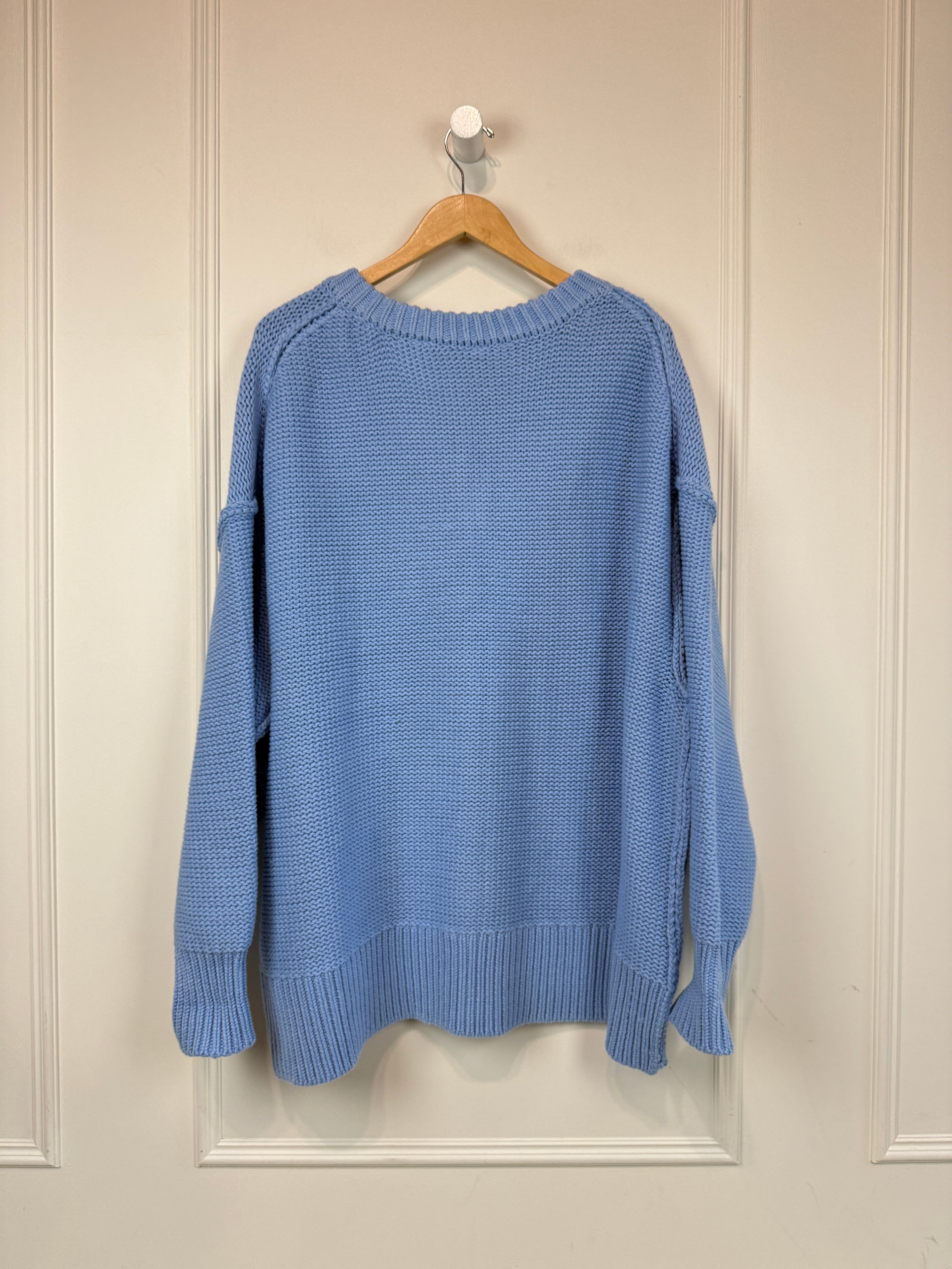 Free People Baby Blue Sweater (M)