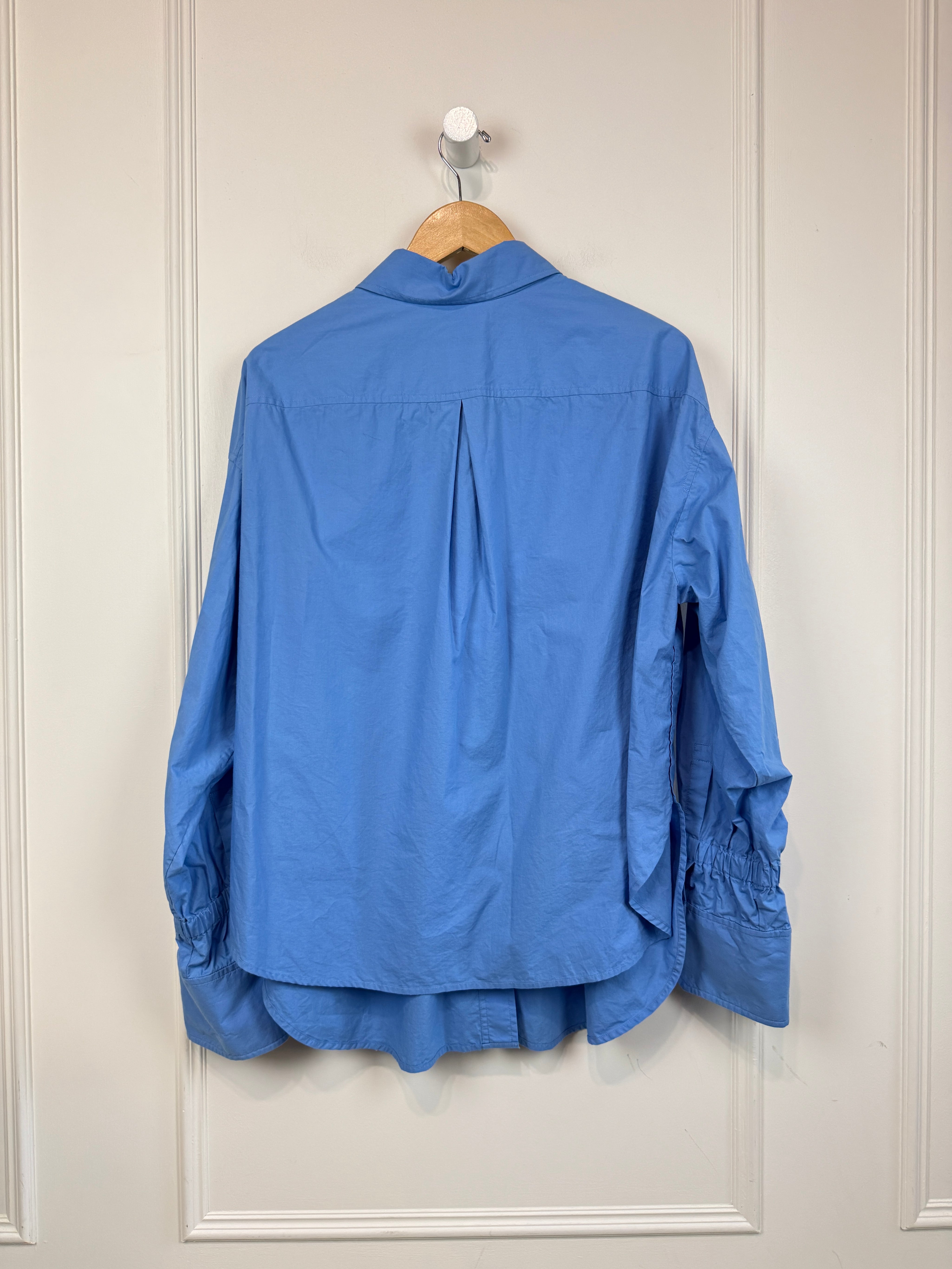 ALC Blue Button Down (8/M)