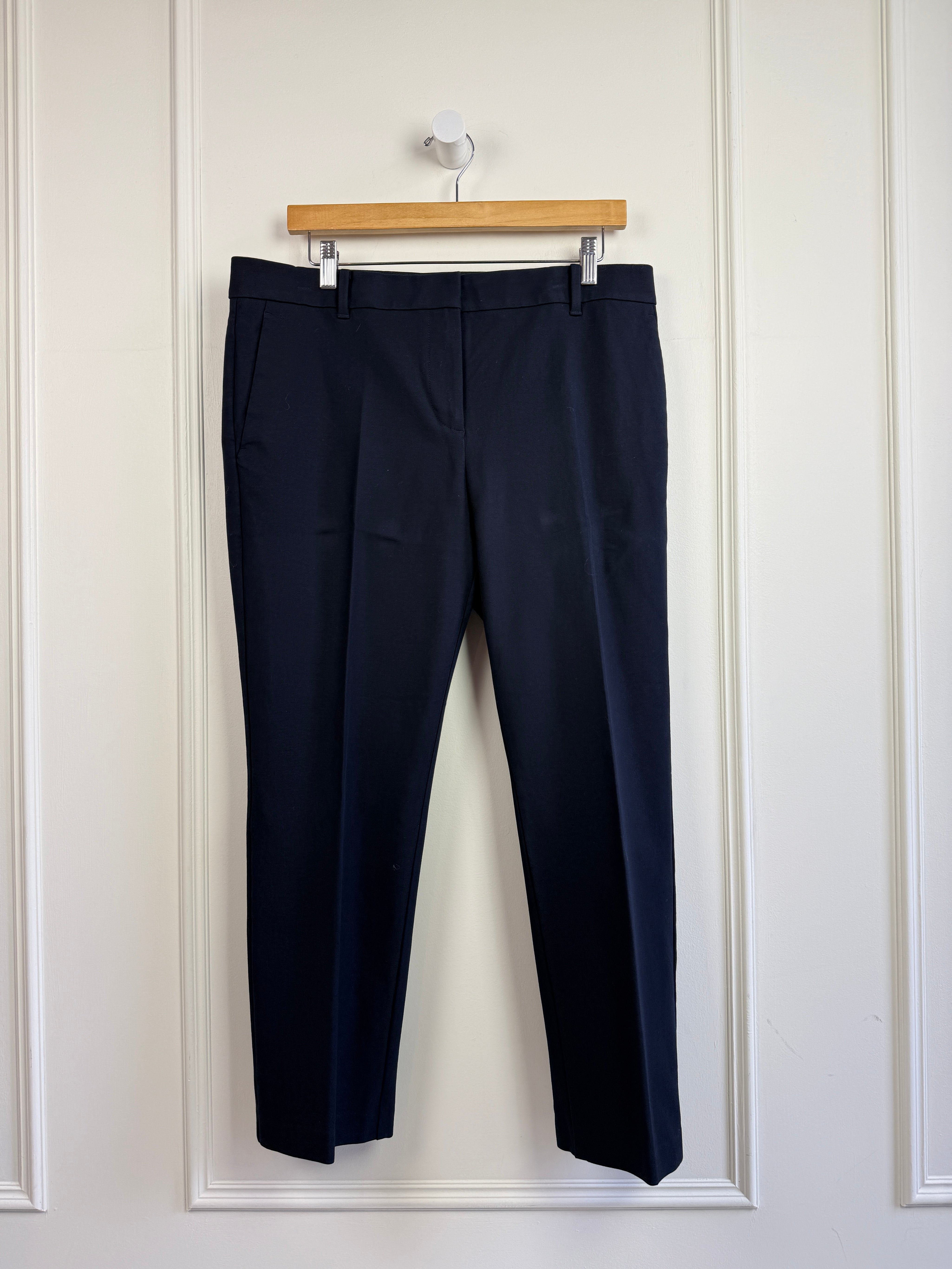 Ann Taylor Navy Trousers (10/30)