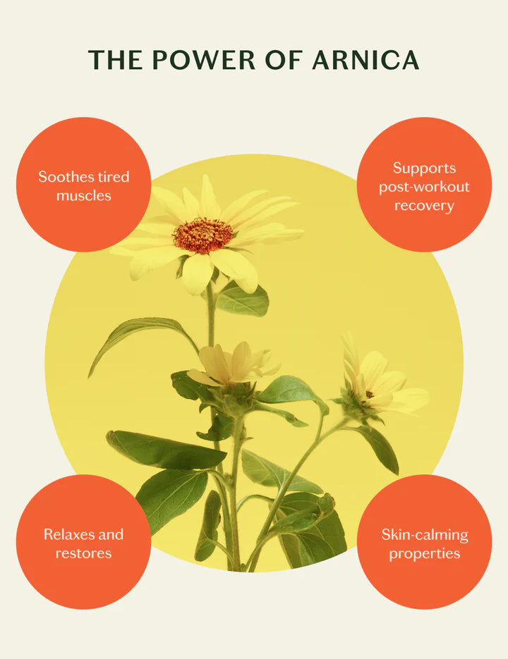 Power_of_Arnica_KM_91021280-bd22-40de-a385-35aa798907bb.webp