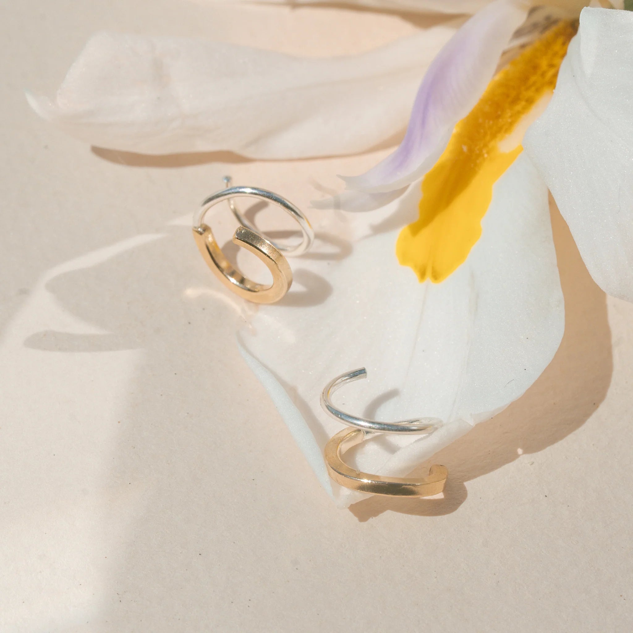 Baleen - MixMix Nautilus Hoops