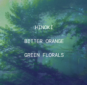 Antiwash - Functional Clothing Spray | Hinoki Daydream