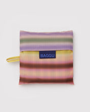 Baggu - Standard Baggu | Gradient Stripe Multi