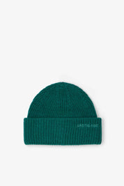 Arctic Fox & Co. - Embroidered Merino Wool Beanie | Alpine Fern