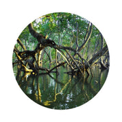 100BON - Bois de Mangrove Vegan Natural Perfume | 30ml