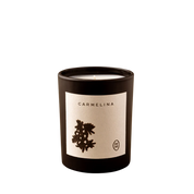 Wilkin & May - Carmelina Candle