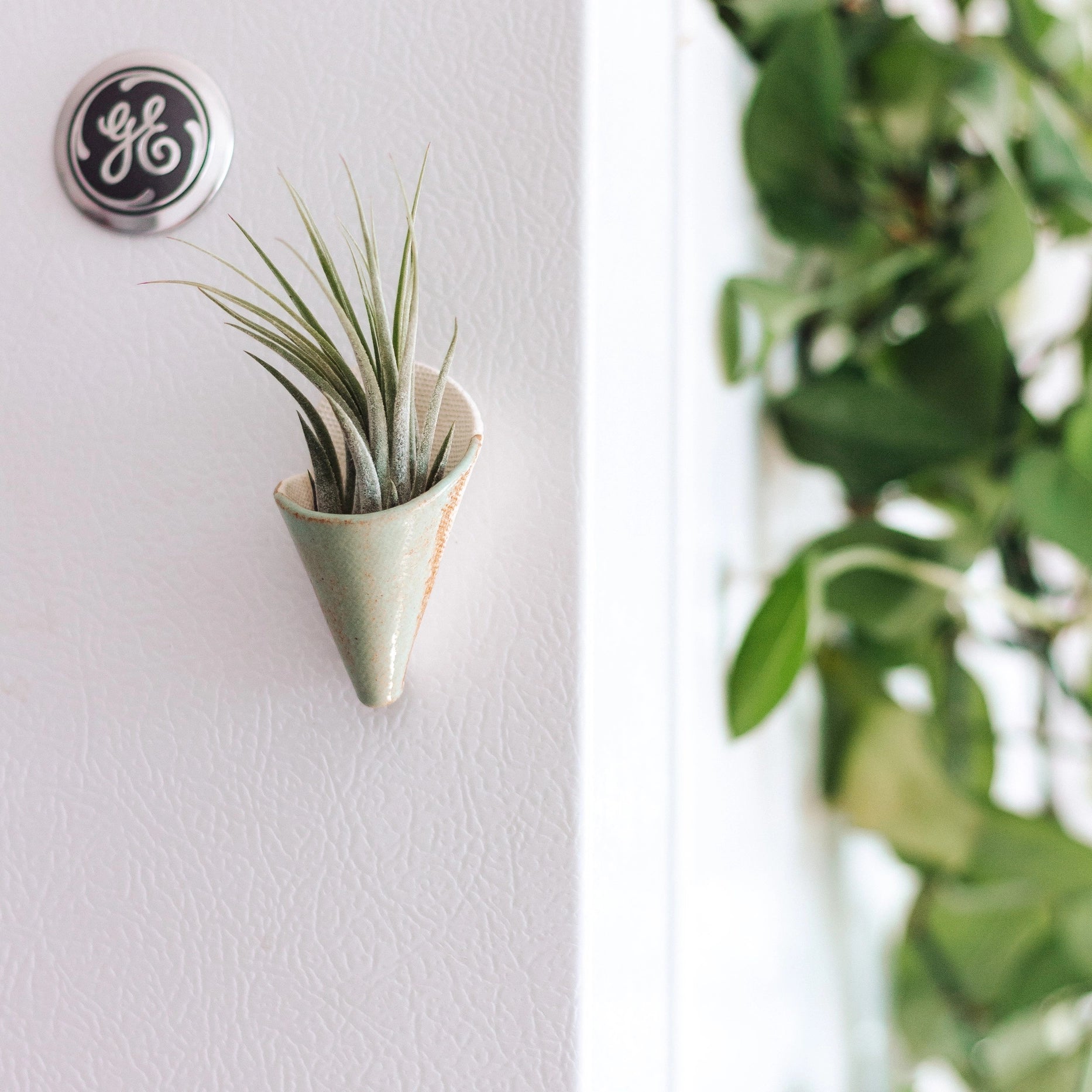 Carter & Rose - Tiny Ceramic Magnet Planter With Plant | Pistachio