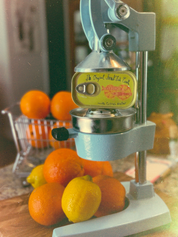 Tinned Candle - Tinned Fish Candle | Citrus Nectar