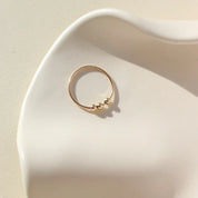 Token Jewelry - Meridian Fidget Ring  | Sterling Silver